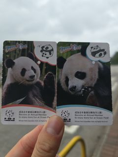 （分類：）位於 。 由 d.c_001 提交（商品編號 1374799921，圖片 1）。簡介： 。