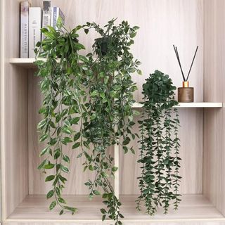 （分類：）位於 。 由 lifehappy001 提交（商品編號 1374720712，圖片 1）。簡介： 。