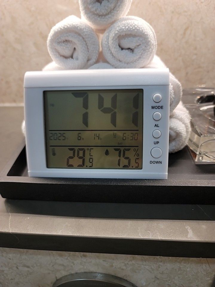 Digital Thermometer Hygrometer with Alarm Clock