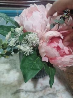 (Category: ) located in . Submitted by mannatshe47101 (Listing ID 1374817241, Image 1). Description: .