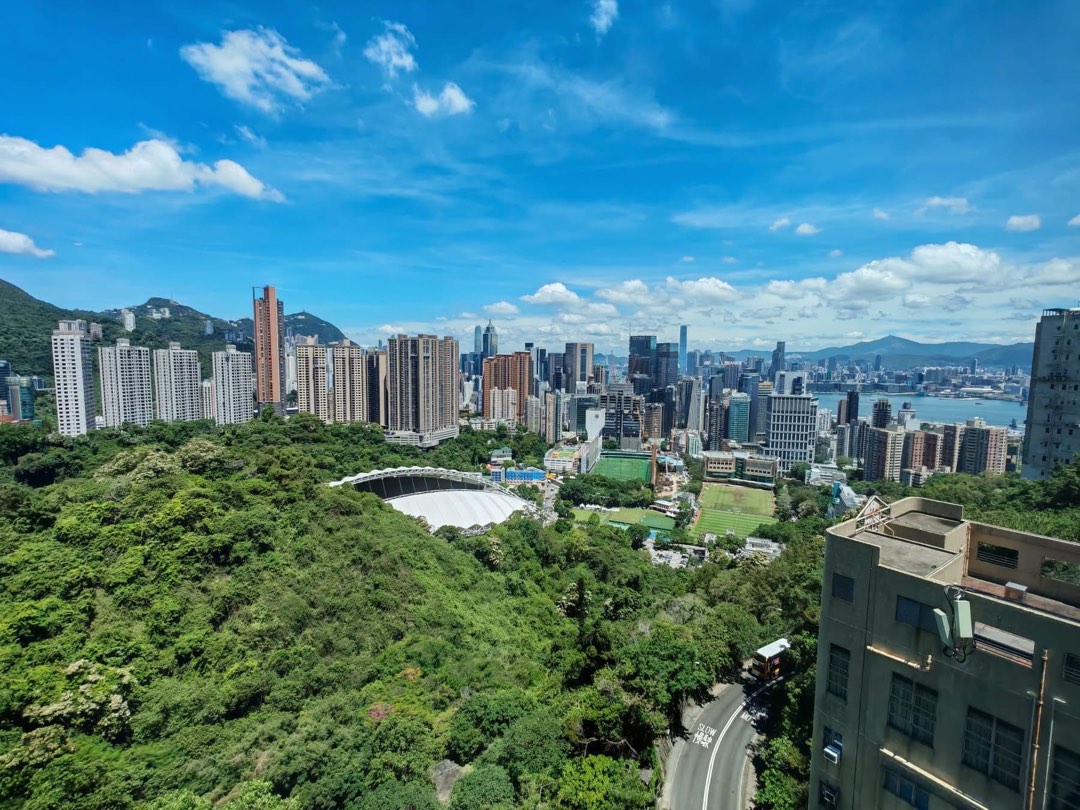 ✨JARDINI 峻譽 • 渣甸山*  *市場罕有全維港景四房大户*64101969942529110