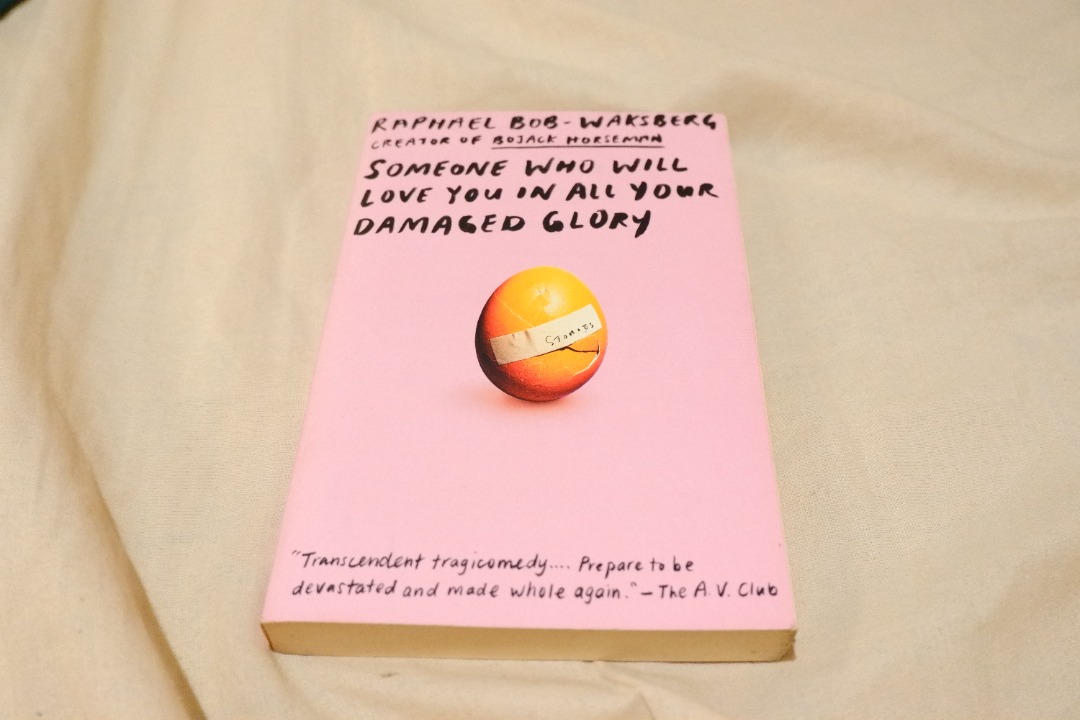 [PAPERBACK] Someone Who Will Love You in All Your Damaged
