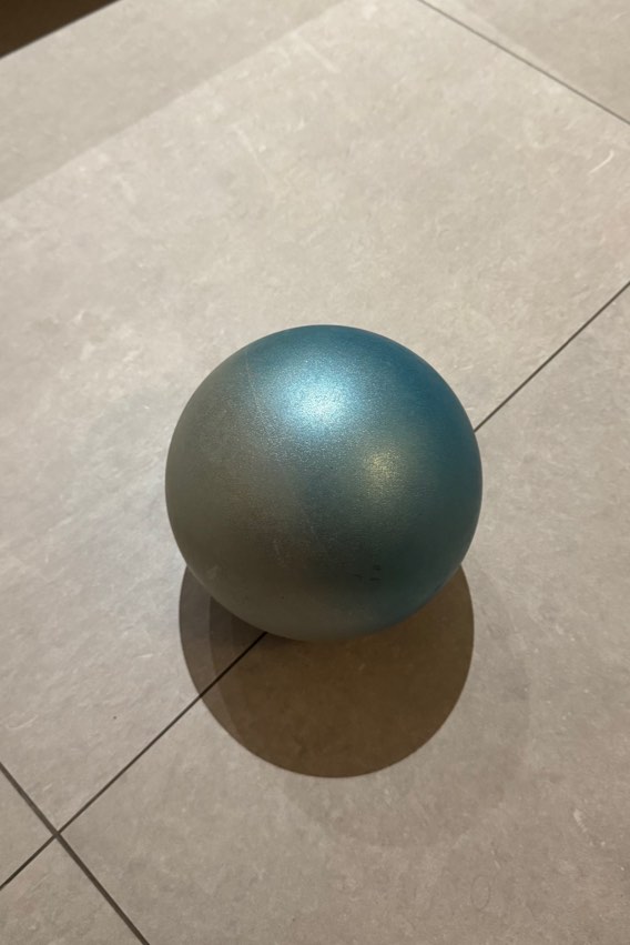Rg Ball pastorelli rhythmic gymnastics RG ball, Sports Equipment, Other Sports ...