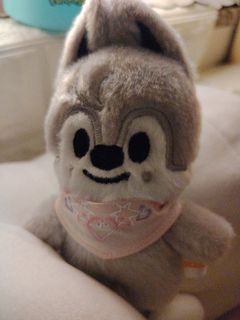 （分類：）位於 。 由 skzoostay 提交（商品編號 1374851266，圖片 1）。簡介： 。