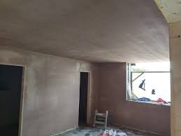 White cement plaster, s11 compound cement plaster, ceiling plaster, wall plaster, whole house painting, nippon paint, touch up plaster, patch up, painting, full plaster,62853070401409113
