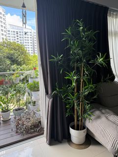 (Category: ) located in . Submitted by ruchulove (Listing ID 1374752280, Image 1). Description: .