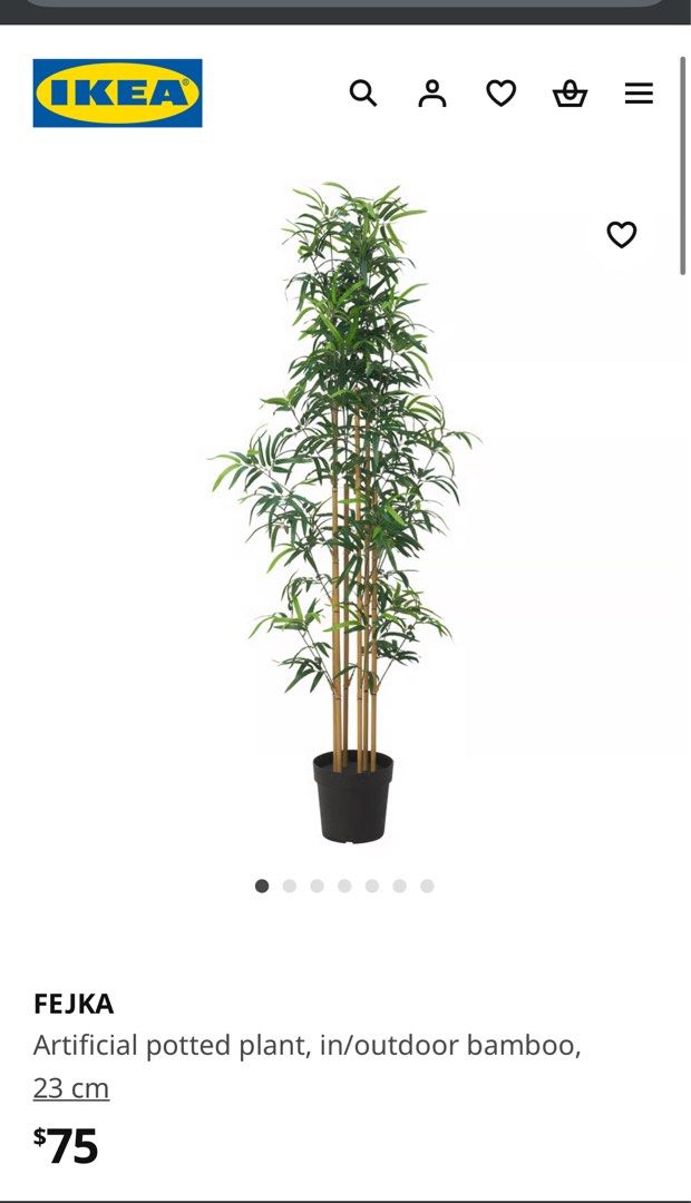 bambus im topf düngen ProviPlant Bambus-Dünger: Stickstoffbooster für Bambus & Gräser main image 1