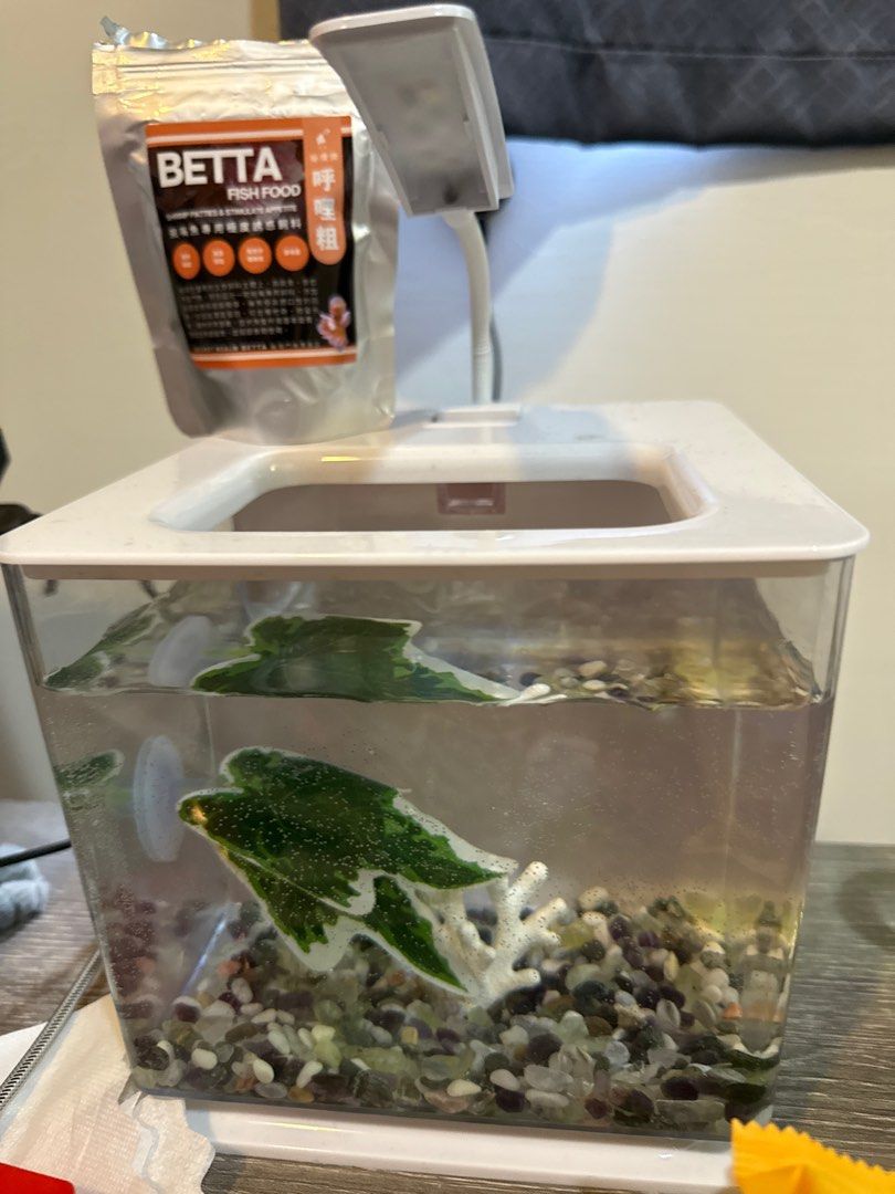由 nz8fqcf25f57338 (刊登 ID 1374936689，圖片 2) 提交，位於 台北市 (Taipei) 的 鬥魚懶人缸白色含燈（不含內容物） (類別：寵物及其他)，說明：含上面鬥魚飼料（還很多）。