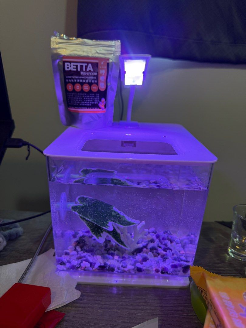 由 nz8fqcf25f57338 (刊登 ID 1374936689，圖片 1) 提交，位於 台北市 (Taipei) 的 鬥魚懶人缸白色含燈（不含內容物） (類別：寵物及其他)，說明：含上面鬥魚飼料（還很多）。