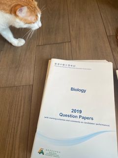（分類：）位於 。 由 joewky 提交（商品編號 1374981532，圖片 1）。簡介： 。