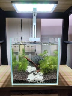 (Category: ) located in . Submitted by deneoaquar03850 (Listing ID 1374922237, Image 1). Description: .