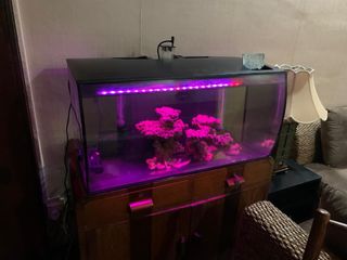 (Category: ) located in . Submitted by imranahmad1961 (Listing ID 1374905103, Image 1). Description: .