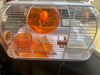 (Category: ) located in . Submitted by shayl10 (Listing ID 1374909351, Image 1). Description: .