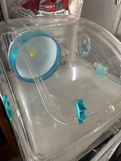 (Category: ) located in . Submitted by momshopie (Listing ID 1374929675, Image 1). Description: .