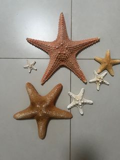 （分類：）位於 。 由 snow_scorpio 提交（商品編號 1374983423，圖片 1）。簡介： 。