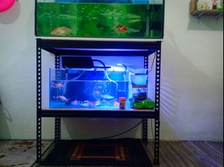 (Category: ) located in . Submitted by warm_hakimnan (Listing ID 1375038765, Image 1). Description: .