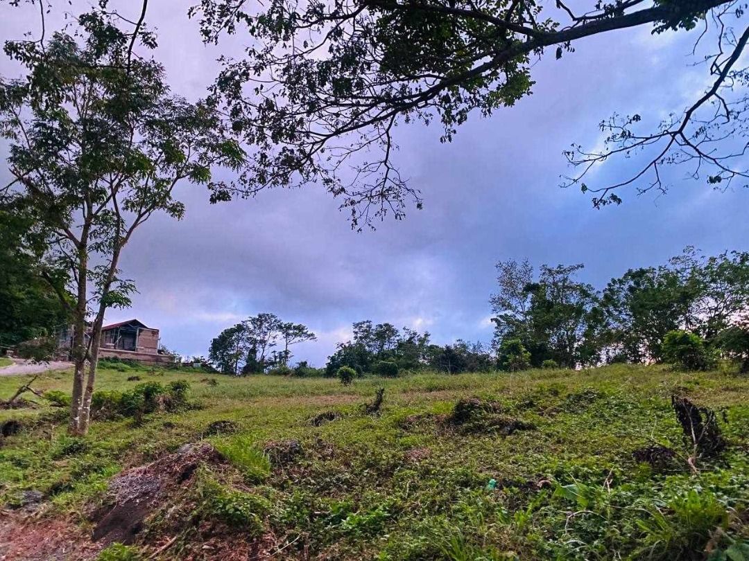 Residential Lot with Scenic Taal Volcano View | Splendido Taal Golf ...