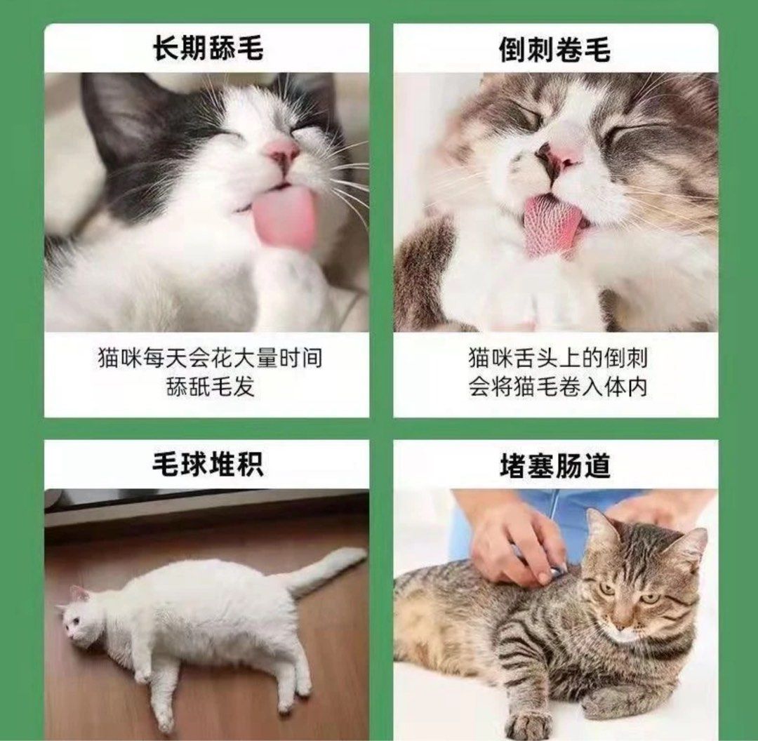 由 ming_9117 (刊登 ID 1375215952，圖片 3) 提交，位於 基隆市 (Keelung) 的 貓草零食磨牙潔齒貓咪零食貓草即食去毛球貓薄荷餅幹貓草粒片已種好增肥幼貓解饞貓草零食去毛球1000克貓草零食 (類別：寵物食品)，說明：貓草零食磨牙潔齒貓咪零食貓草即食去毛球貓薄荷餅幹貓草粒片已種好增肥幼貓解饞貓草零食去毛球1000克貓草零食。