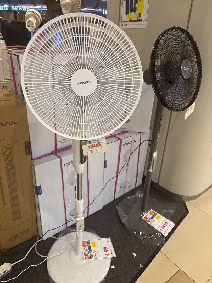 Fan