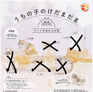 （分類：）位於 。 由 reizu 提交（商品編號 1375188193，圖片 1）。簡介： 。