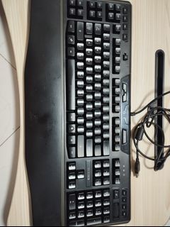 (Category: ) located in . Submitted by rowan.a (Listing ID 1375413131, Image 1). Description: .