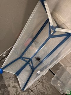 （分類：）位於 。 由 graaa_cy 提交（商品編號 1375281414，圖片 1）。簡介： 。