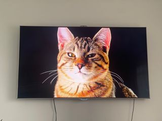 （分類：）位於 。 由 amidon 提交（商品編號 1375649909，圖片 1）。簡介： 。