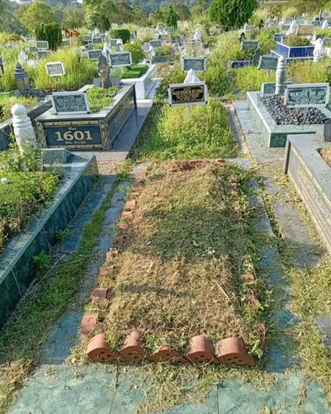 Artificial Grass (rumput palsu)64884979842691111