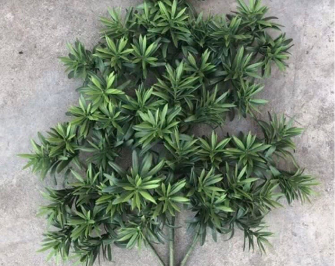 Artificial Plants64885058452481116