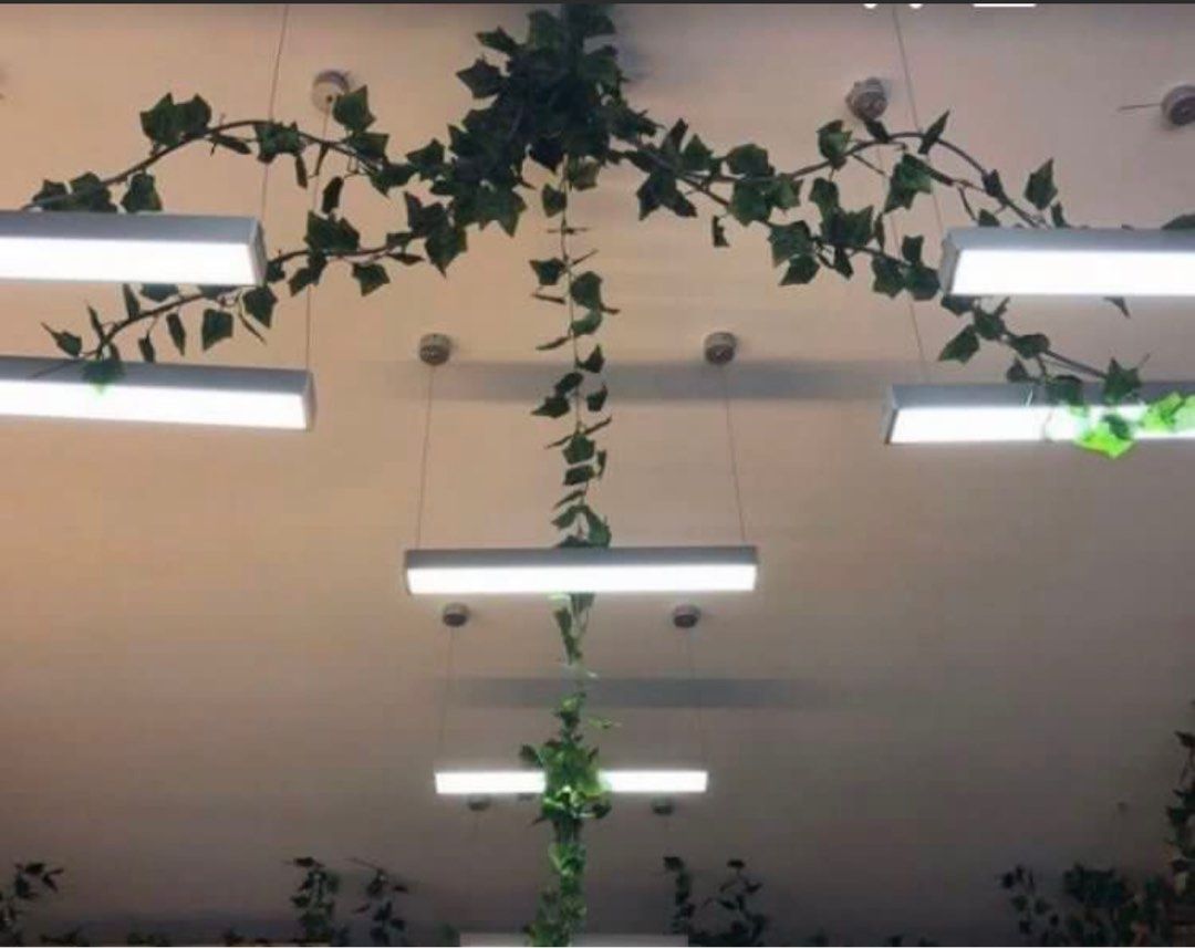 Artificial Plants64885058452481118