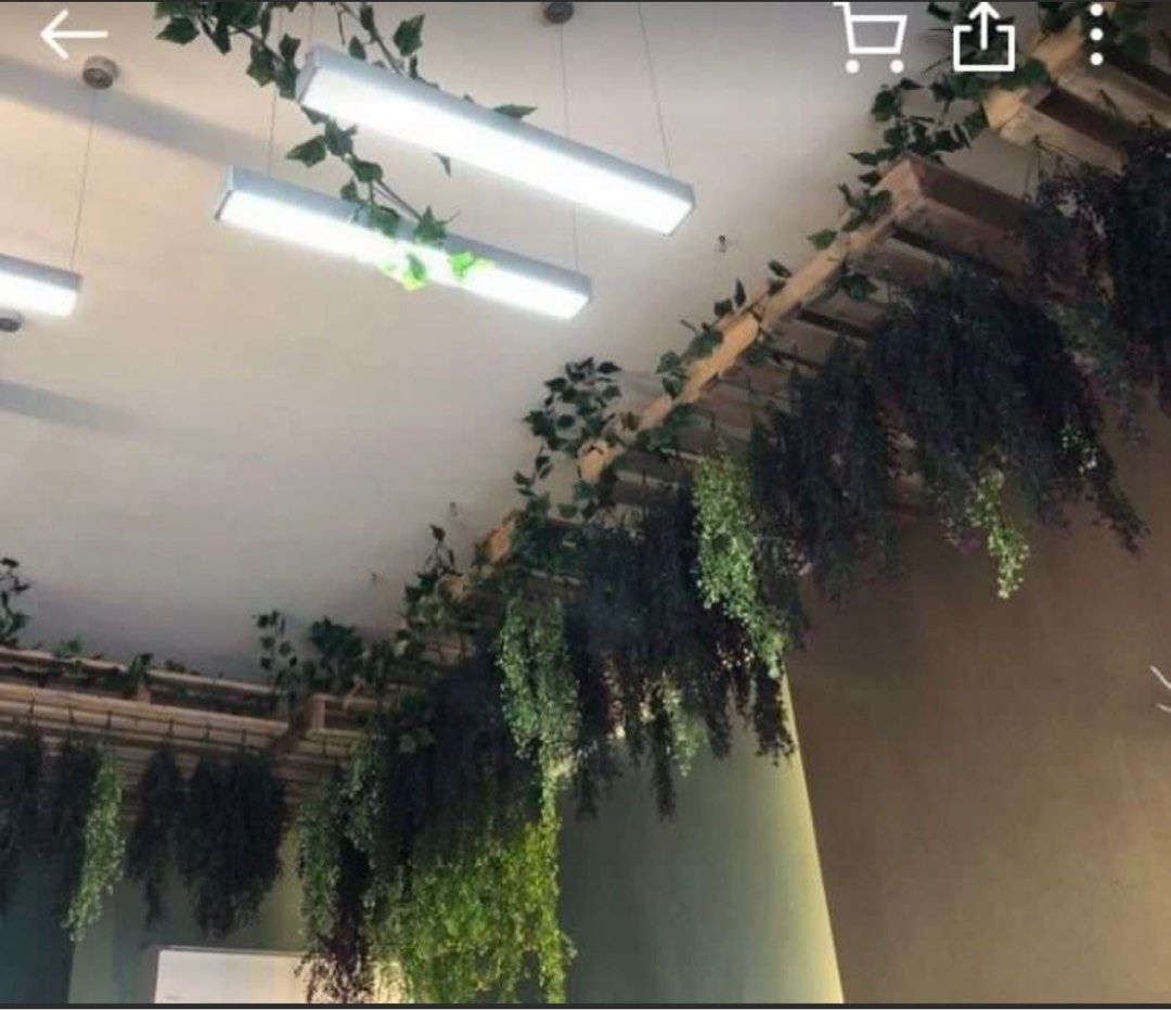 Artificial Plants64885058452481117