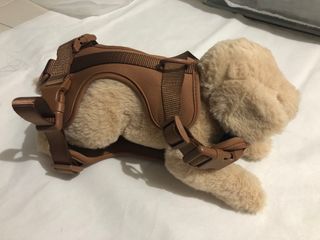 (Category: ) located in . Submitted by pawtopia (Listing ID 1375644191, Image 1). Description: .