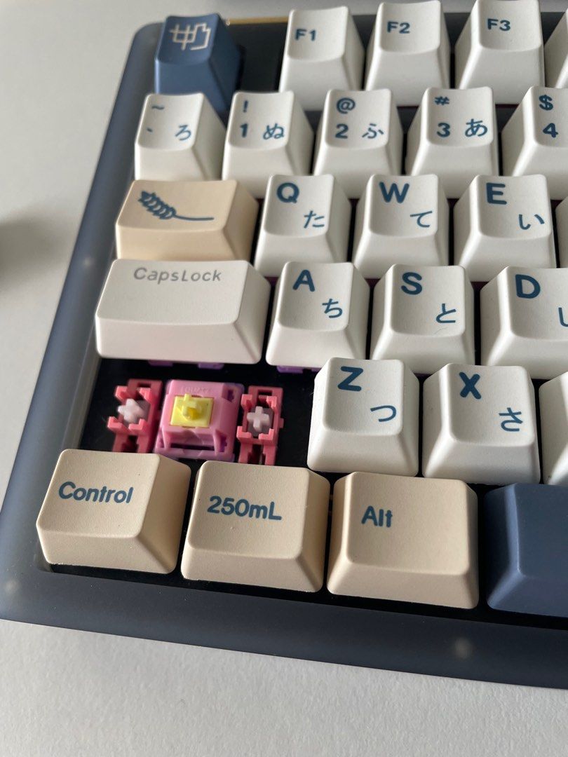 Custom 75keys keyboard (Akko ACR 75 v2 backbone with banana split switches)63223792443522114