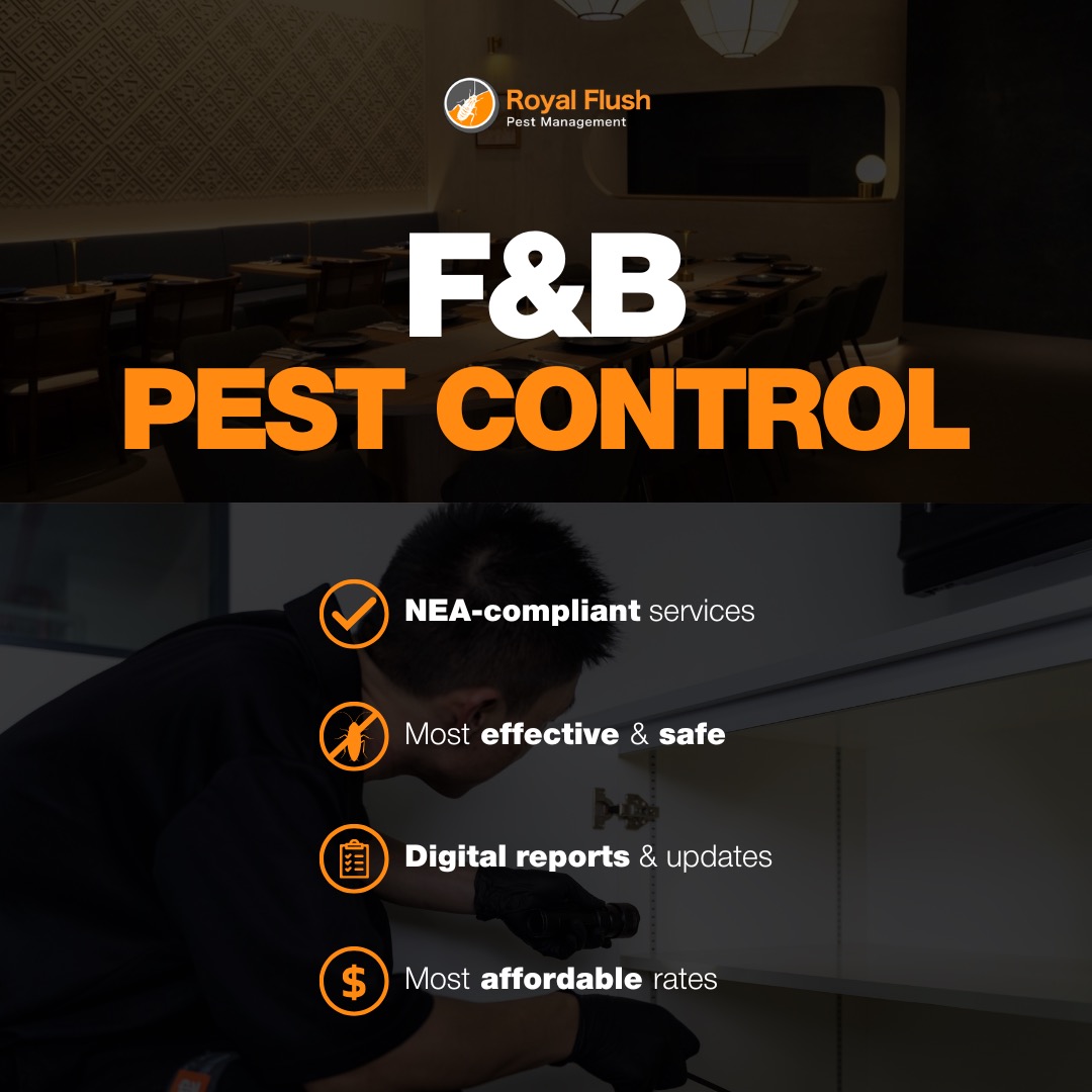 (Category: ) located in . Submitted by royalflushpestmanagement (Listing ID 1375572010, Image 1). Description: .