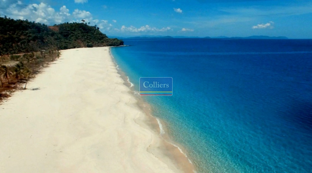 (Category: ) located in . Submitted by colliersph (Listing ID 1375479467, Image 1). Description: .