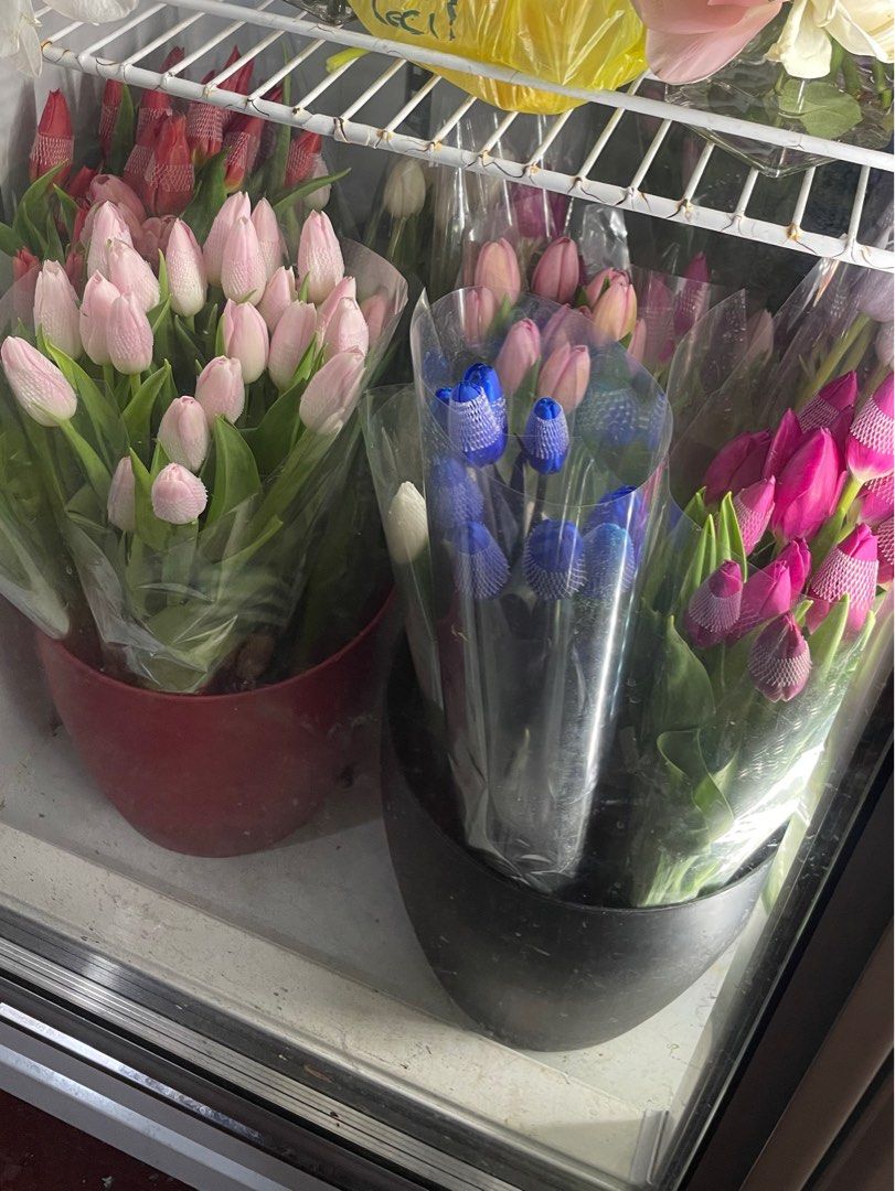 Fresh Tulips | Per piece (Category: Flowers & Bouquets) located in Pasig City. Submitted by aefs_ (Listing ID 1375499355, Image 1). Description: Fresh Tulips per piece - ₱160 each 6pcs up - ₱150 each 12pcs up - ₱135 optional: add. ₱5 per water tube 🖇️ Flower Bouquet Arrangements also available! 🖇️ We can make this bigger/smaller according to your liking 🖇️ We accept custom arrangements 🖇️ Loc is Sampaloc, Manila & Pasig/Cainta 🖇️ Order at le
