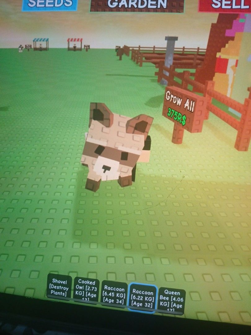 Grow a garden pets62853058575363112