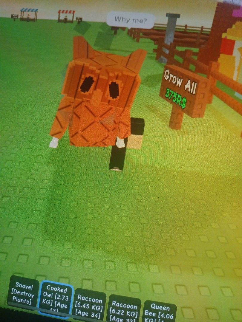 Grow a garden pets628530585753631114