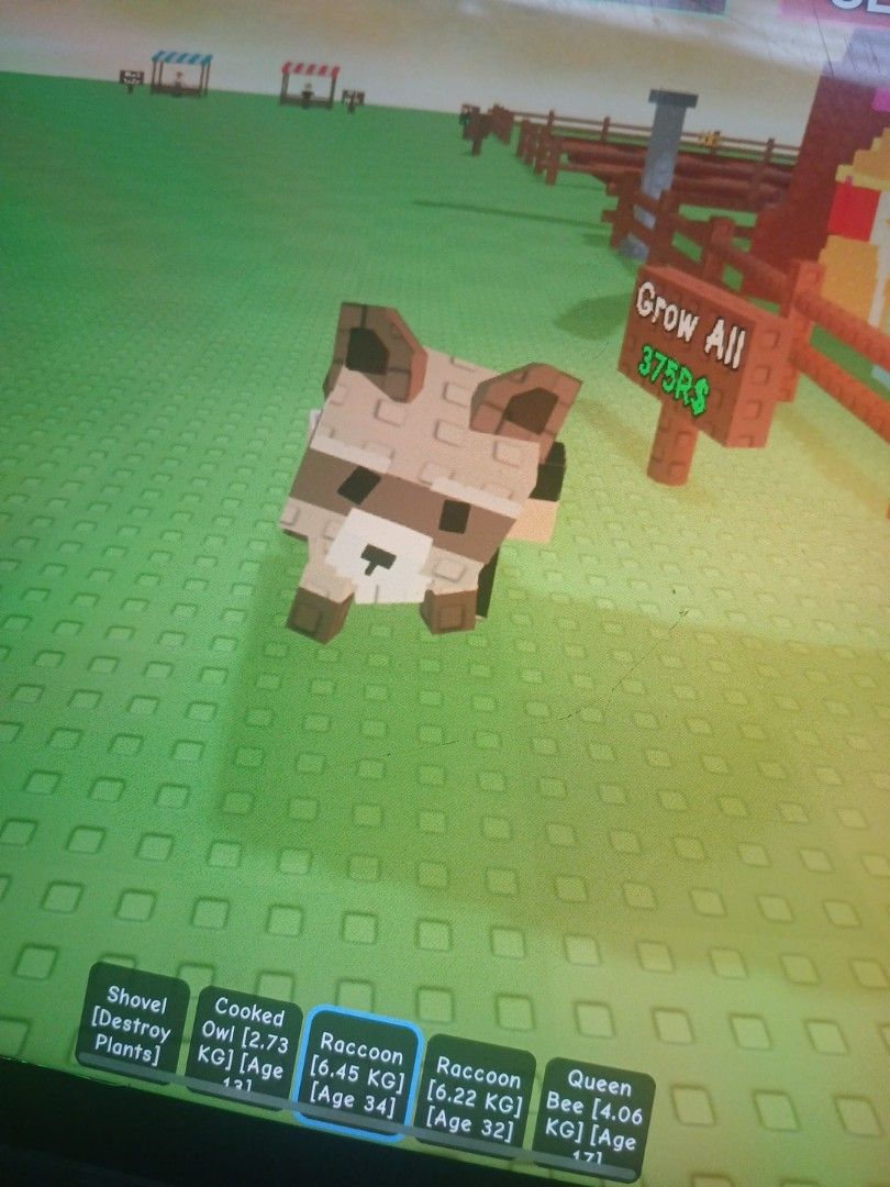 Grow a garden pets62853058575363111