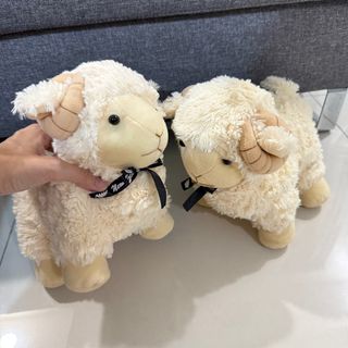 (Category: ) located in . Submitted by shopaholicismee (Listing ID 1375631745, Image 1). Description: .