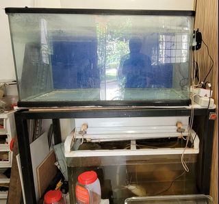 (Category: ) located in . Submitted by kenkenyeo (Listing ID 1375709177, Image 1). Description: .