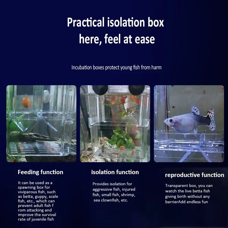 Acrylic Fish Breeding Isolation Box Durable Breeder for Aquarium Fish ...