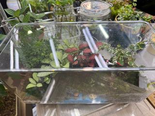 (Category: ) located in . Submitted by juliahorizon (Listing ID 1375765220, Image 1). Description: .