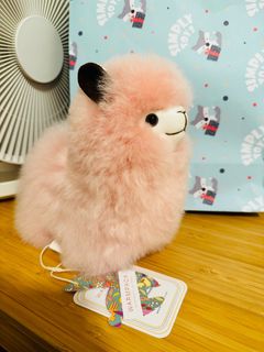 （分類：）位於 。 由 alawoo 提交（商品編號 1375756264，圖片 1）。簡介： 。