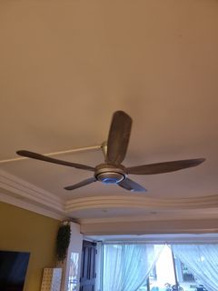 (Category: ) located in . Submitted by adaria15 (Listing ID 1375760905, Image 1). Description: .