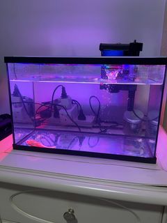 (Category: ) located in . Submitted by aina_muncu (Listing ID 1375783487, Image 1). Description: .