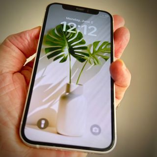 （分類：）位於 。 由 zenlogo 提交（商品編號 1375743915，圖片 1）。簡介： 。