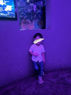 (Category: ) located in . Submitted by stsadiah (Listing ID 1375676881, Image 1). Description: .