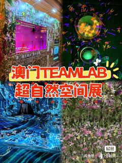 （分類：）位於 。 由 macauwang 提交（商品編號 1375832673，圖片 1）。簡介： 。