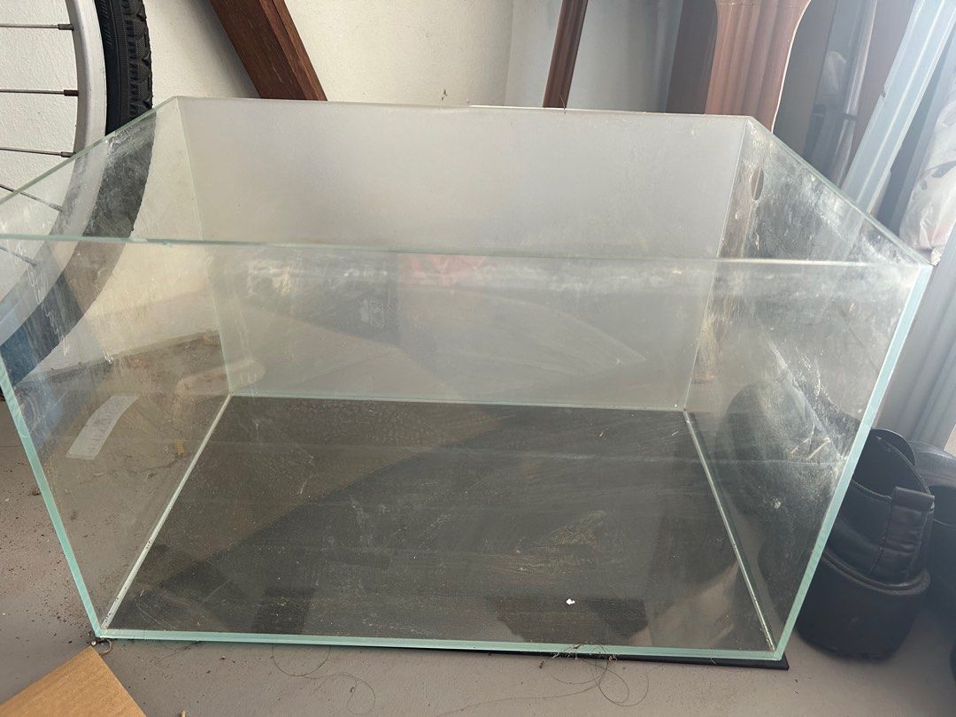 45x30x30 crystal glass tank (Category: Homes & Other Pet Accessories) located in Singapore. Submitted by shrimpton (Listing ID 1372554594, Image 1). Description: 1.5 ft tank crystal glass Collect at my block boonlay.